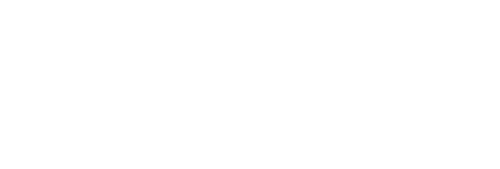 DSS-Logo1-White